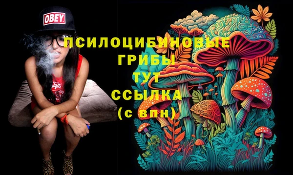 СК Алексин