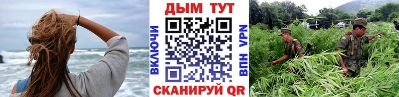Бошки Шишки план  сколько стоит  Березники 